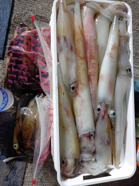 第二龍勢丸 釣果