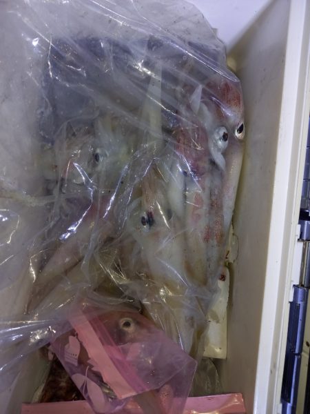 第二龍勢丸 釣果