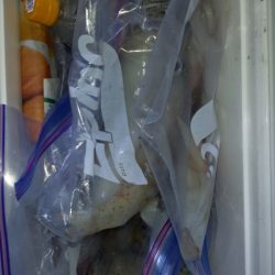 第二龍勢丸 釣果