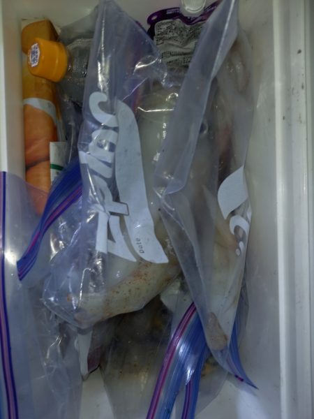 第二龍勢丸 釣果