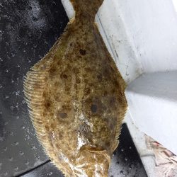 第二龍勢丸 釣果