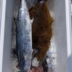 第二龍勢丸 釣果