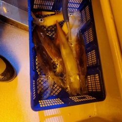 海龍丸（石川） 釣果