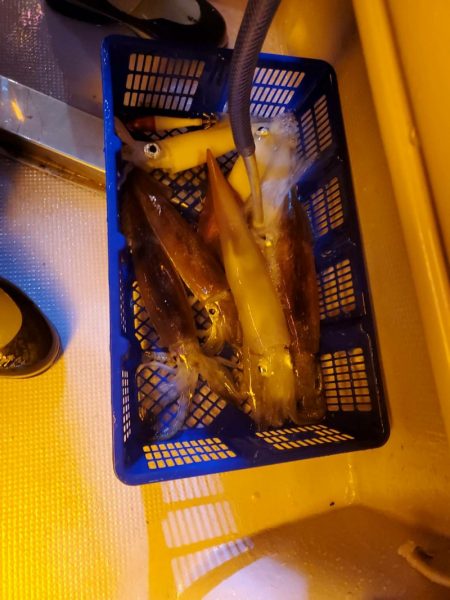 海龍丸（石川） 釣果