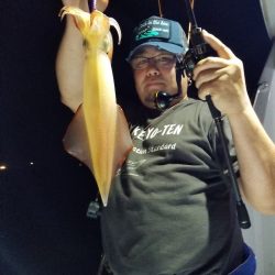 アマテラス 釣果