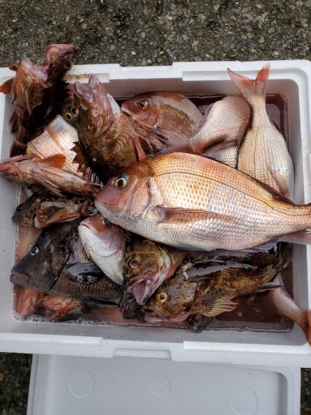 新幸丸 釣果