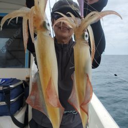 ソルトウォーターガイドフレンズ 釣果