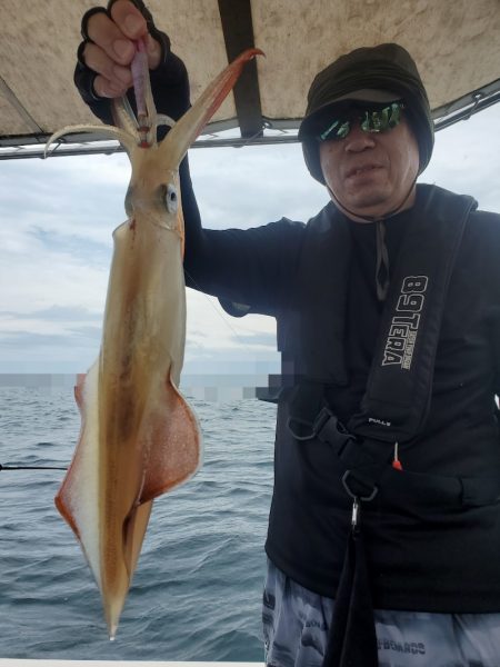 ソルトウォーターガイドフレンズ 釣果