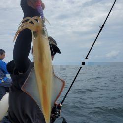 ソルトウォーターガイドフレンズ 釣果