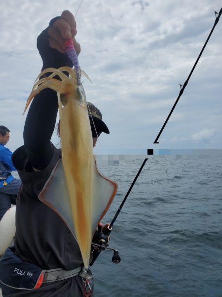 ソルトウォーターガイドフレンズ 釣果