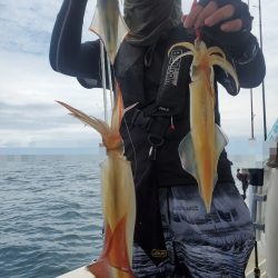 ソルトウォーターガイドフレンズ 釣果