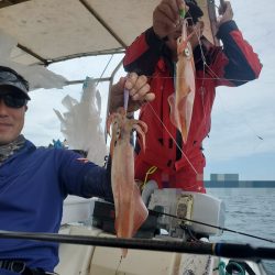 ソルトウォーターガイドフレンズ 釣果