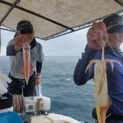 ソルトウォーターガイドフレンズ 釣果