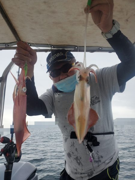 ソルトウォーターガイドフレンズ 釣果