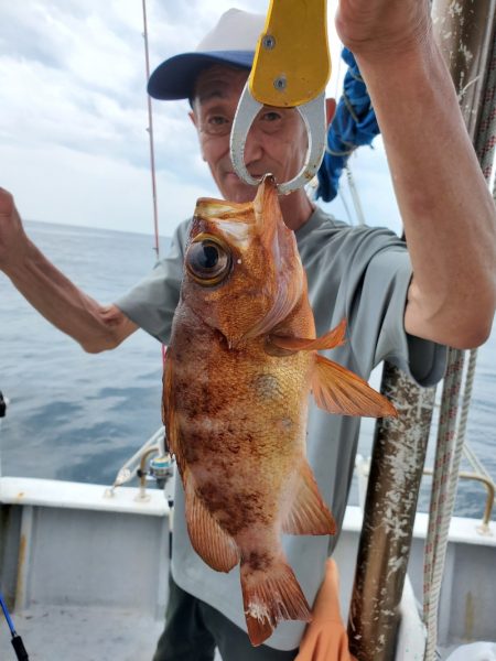 一華丸 釣果