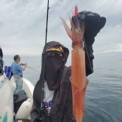 ソルトウォーターガイドフレンズ 釣果