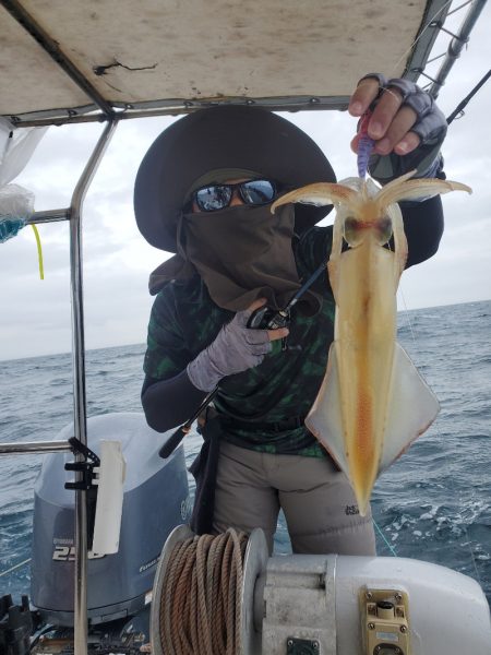 ソルトウォーターガイドフレンズ 釣果