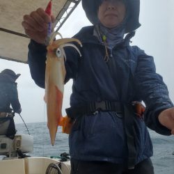 ソルトウォーターガイドフレンズ 釣果