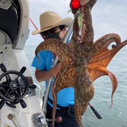 Ｖ−７ West 釣果