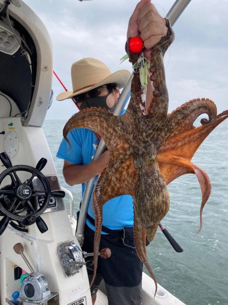 Ｖ−７ West 釣果