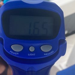 Ｖ−７ West 釣果