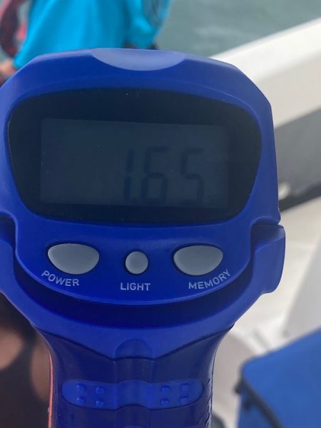 Ｖ−７ West 釣果