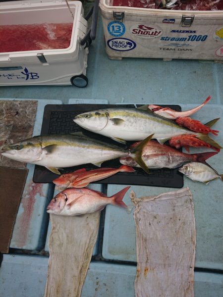 清和丸 釣果