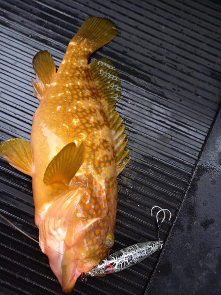 第二龍勢丸 釣果