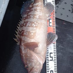 第二龍勢丸 釣果