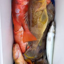 第二龍勢丸 釣果