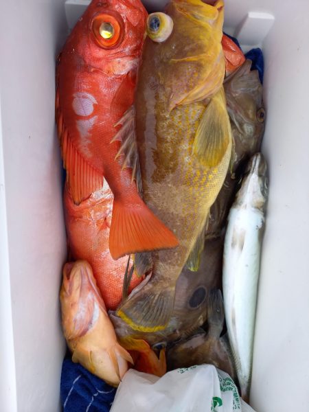 第二龍勢丸 釣果