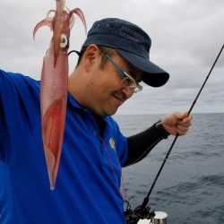 アマテラス 釣果