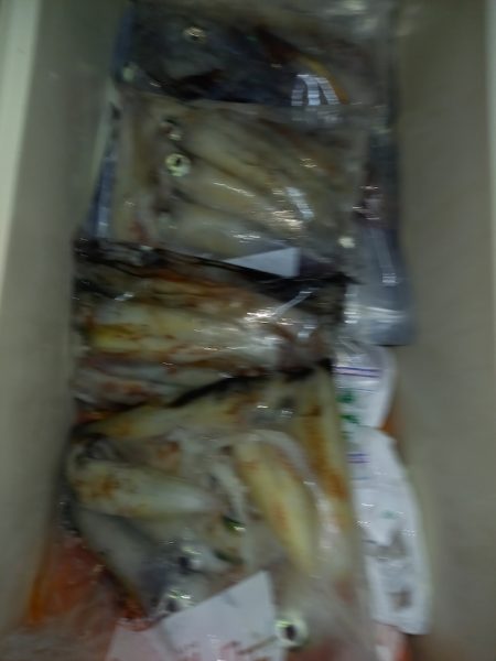 第二龍勢丸 釣果