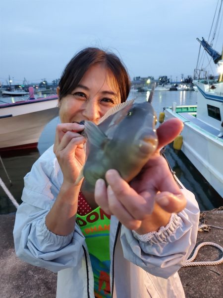 富士丸 釣果