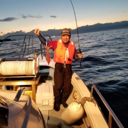 アマテラス 釣果