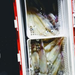 第二龍勢丸 釣果