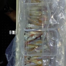 第二龍勢丸 釣果