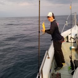 アマテラス 釣果