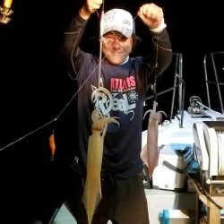 アマテラス 釣果