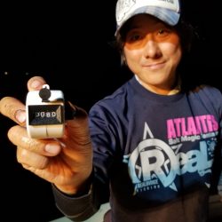 アマテラス 釣果