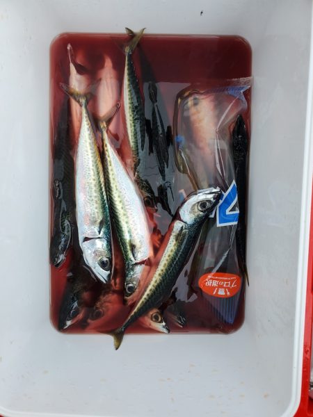 一華丸 釣果