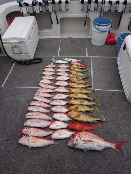 ARCADIAⅡ (アルカディアⅡ) 釣果