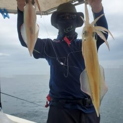 ソルトウォーターガイドフレンズ 釣果