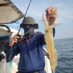 ソルトウォーターガイドフレンズ 釣果