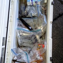 第二龍勢丸 釣果