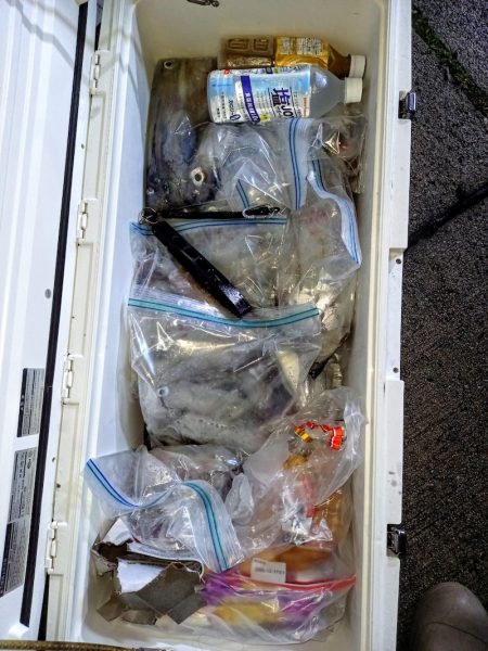 第二龍勢丸 釣果