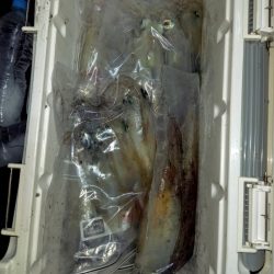 第二龍勢丸 釣果