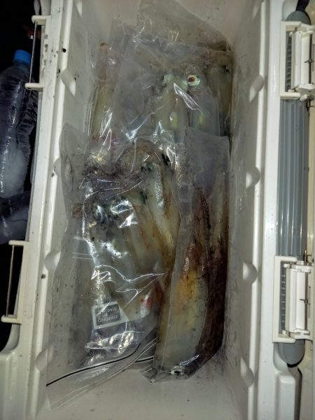 第二龍勢丸 釣果