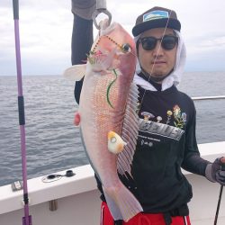 ARCADIAⅡ (アルカディアⅡ) 釣果