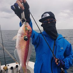 ARCADIAⅡ (アルカディアⅡ) 釣果